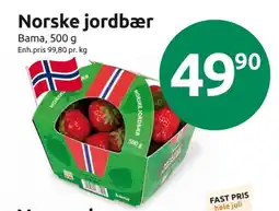Ukjent jordbær