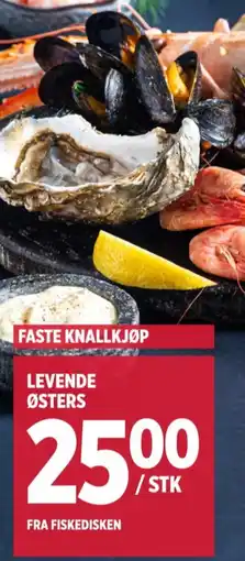 Meny Ukjent østers tilbud