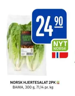 Rema 1000 Gartner salat tilbud