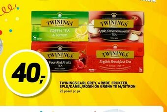Bunnpris Twinings earl grey, 4 Røde Frukter, Eple/Kanel/Rosin og Grønn te M/Sitron tilbud
