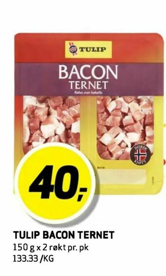 Tulip bacon ternet