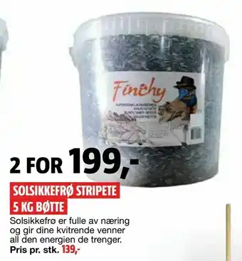 Bauhaus Solsikkefrø stripete 5 kg bøtte tilbud