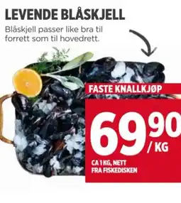 Meny LEVENDE BLÅSKJELL tilbud