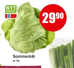 Spar Sommerkål tilbud