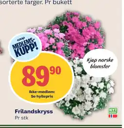 Coop Mega Frilandskryss tilbud