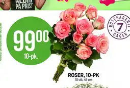 Kiwi ROSER, 10-PK tilbud