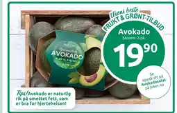 Joker Season avokado tilbud