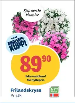 Coop Obs Ukjent plante tilbud
