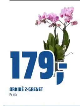Coop Obs Ukjent plante tilbud