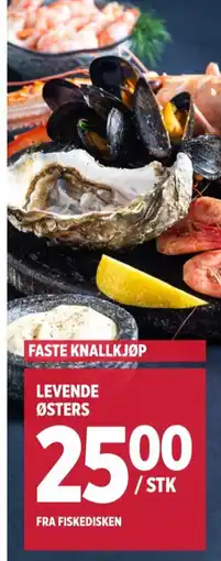 Meny Ukjent østers tilbud