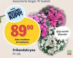 Coop Mega Frilandskryss tilbud