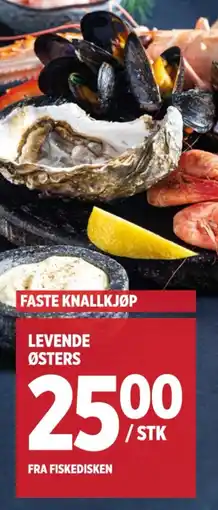Meny LEVENDE ØSTERS tilbud