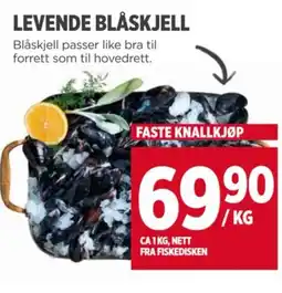 Meny LEVENDE BLÅSKJELL tilbud