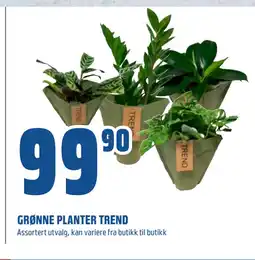 Coop Obs GRØNNE PLANTER TREND tilbud