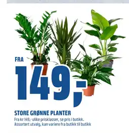 Coop Obs STORE GRØNNE PLANTER tilbud