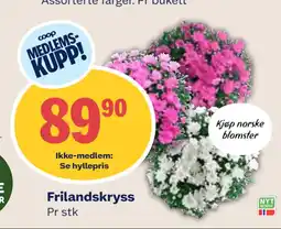 Coop Mega Frilandskryss tilbud
