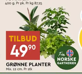 Coop Mega GRØNNE PLANTER tilbud