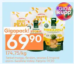 Gigaboks Tørket mango, fersken, ananas & tropical storm tilbud