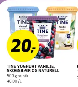 Bunnpris TINE YOGHURT VANILJE, SKOGSBÆR OG NATURELL tilbud