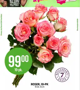 Kiwi ROSER, 10-PK tilbud