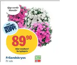 Coop Obs Ukjent plante tilbud