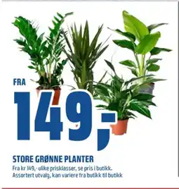 Coop Obs Ukjent plante tilbud