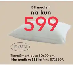 Skeidar TempSmart pute 50x70 cm tilbud