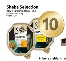 Joker Sheba Selection tilbud