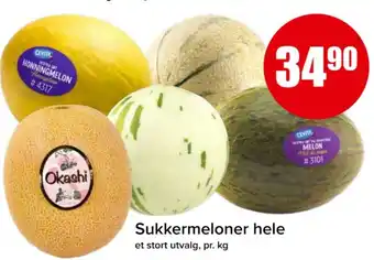 Spar Sukkermeloner hele tilbud