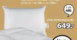 JYSK PUTER 50x70 CM tilbud