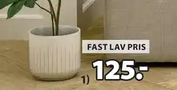 JYSK KNUDSEN BLOMSTERPOTTE tilbud