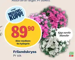 Coop Mega Frilandskryss tilbud