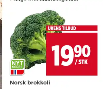 Meny Norsk brokkoli tilbud