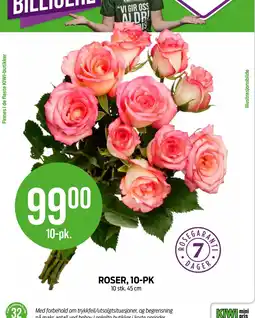 Kiwi ROSER, 10-PK tilbud