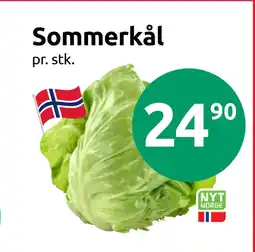 Joker Sommerkål tilbud