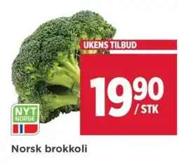 Meny Norsk brokkoli tilbud