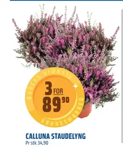 Coop Obs CALLUNA STAUDELYNG tilbud
