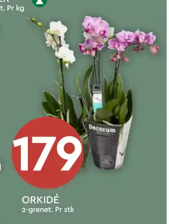 Coop Mega ORKIDÉ tilbud