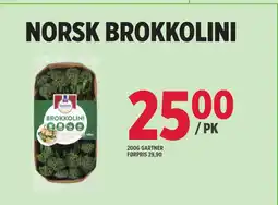 Jacobs NORSK BROKKOLINI tilbud
