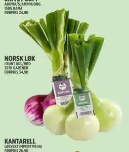 Jacobs NORSK LØK tilbud