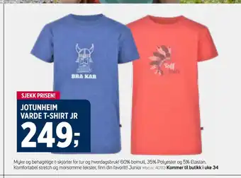 Sport 1 JOTUNHEIM VARDE T-SHIRT JR tilbud