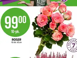 Kiwi ROSER tilbud