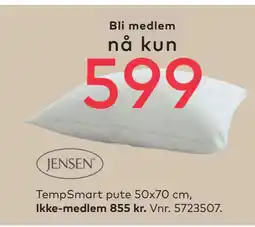 Skeidar TempSmart pute 50x70 cm tilbud