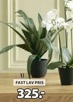 JYSK CELIUS KUNSTIG PLANTE tilbud