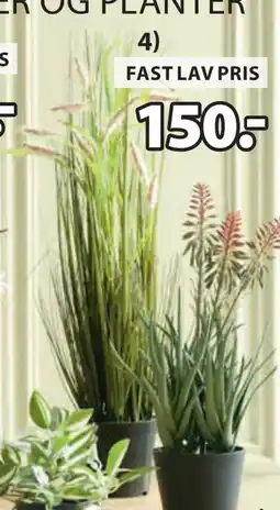 JYSK GODSKE KUNSTIG PLANTE tilbud
