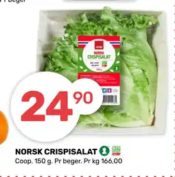 Coop Marked NORSK CRISPISALAT tilbud