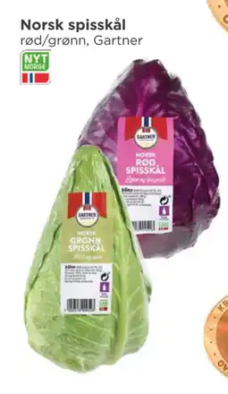 Meny Norsk spisskål tilbud