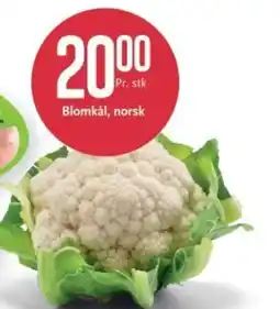 CC Mat Blomkål tilbud