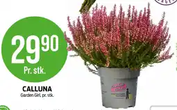 Kiwi CALLUNA tilbud