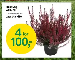 Felleskjøpet Høstlyng Calluna tilbud